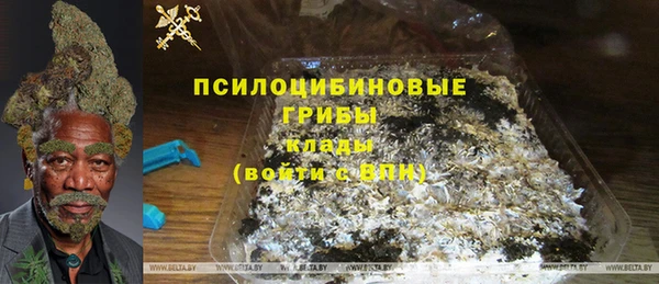 первитин Горняк