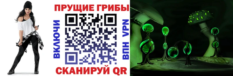 MEGA   Ногинск  Псилоцибиновые грибы ЛСД 